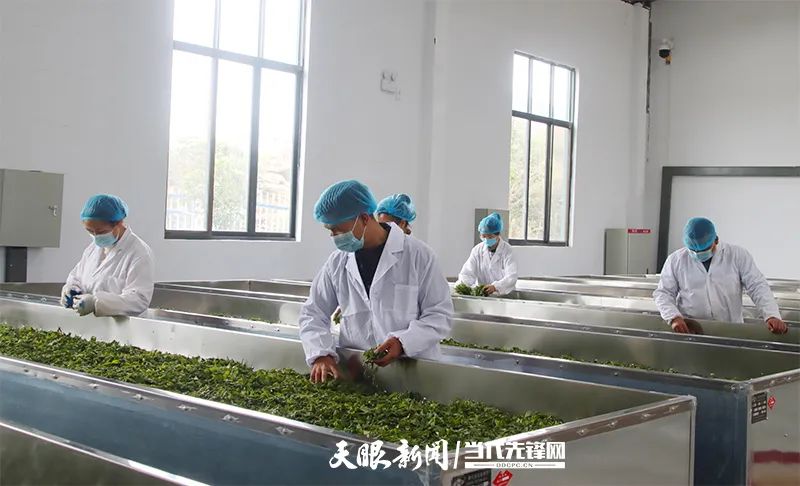 二十大时光丨创业青年贺鑫：新时代当有新担当新作为